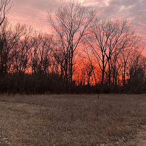 Meet your Posher, Beau